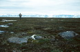 Jens Anton Thygesen/mastershot archive, Scoresbysund East Greenland