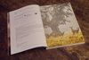 Harry Opstrup/mastershot archive, UNESCO application