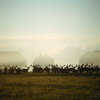 HParforce Hunting landscape, North Zealand, Harry Opstrup/mastershot archive